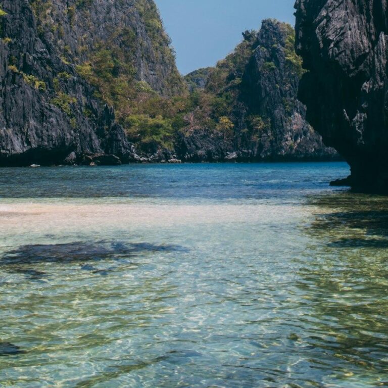 Le ultime tendenze nel mondo del gelato: cosa aspettarsi nel 2023