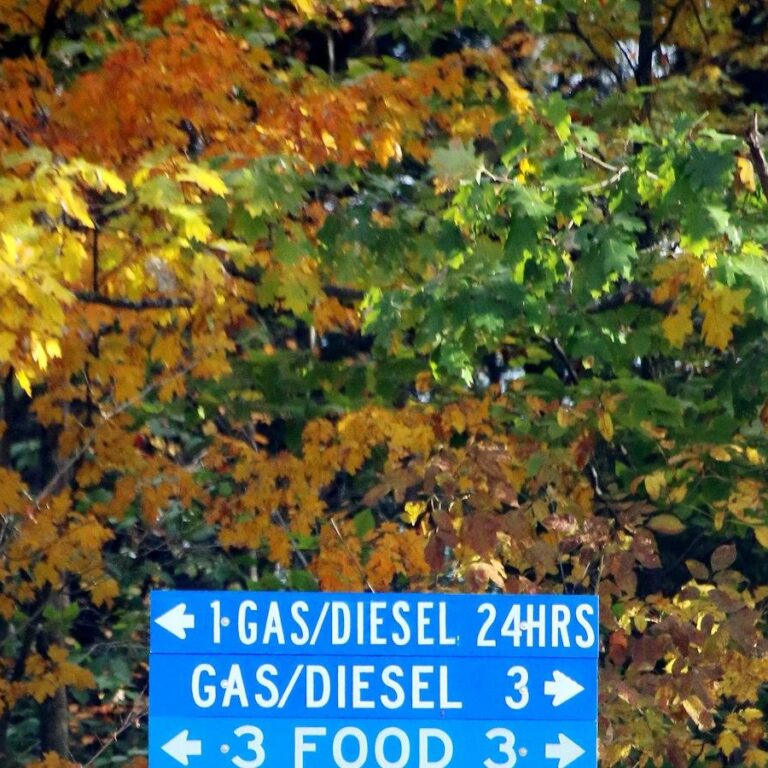 Le 5 attrezzature must-have per la produzione di gelato di alta qualità