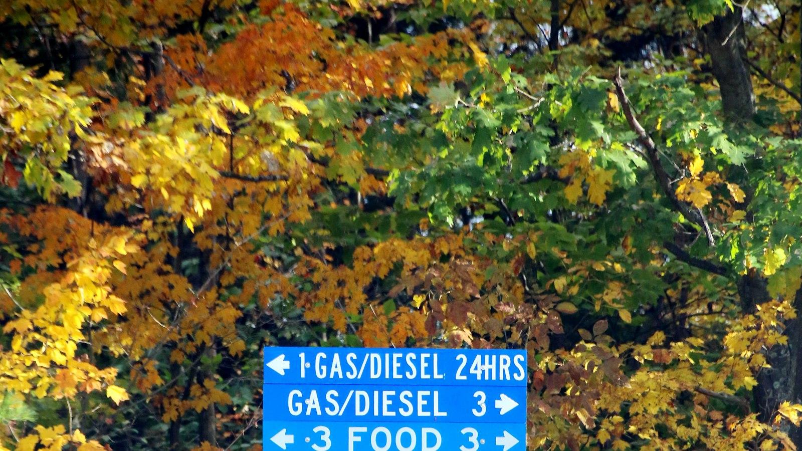 le-5-attrezzature-must-have-per-la-produzione-di-gelato-di-alta-qualita.jpg Le 5 attrezzature must-have per la produzione di gelato di alta qualità