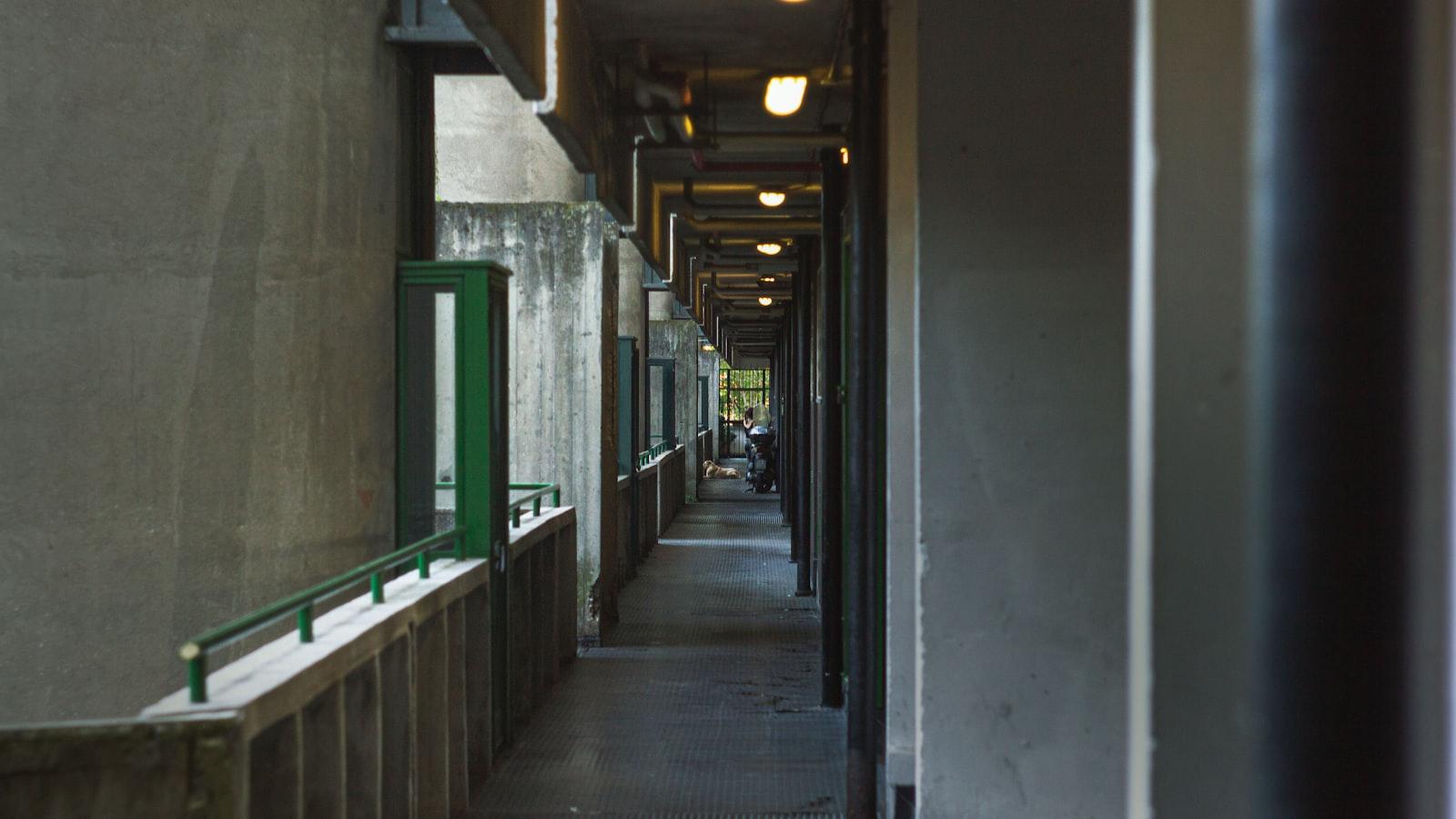 flashy-e-delizioso-esplorare-le-nuove-attrezzature-di-flashmachines.jpg Flashy e delizioso: esplorare le nuove attrezzature di FLASHMACHINES